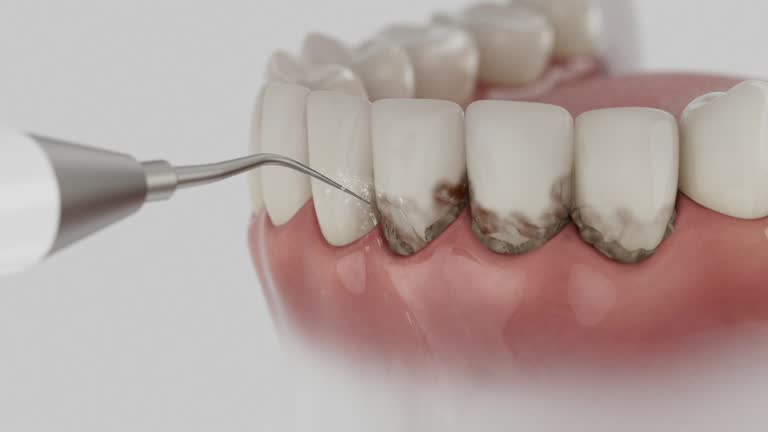 Reliable Dental contractor in Belvedere Park, GA by Dentist Open Now